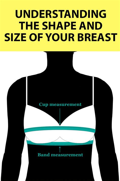 boobs|The 10 Types Of Breasts: Shapes, Sizes & Types